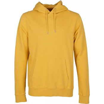 Textiel Heren Sweaters / Sweatshirts Colorful Standard Organic Hoodie Geel Geel
