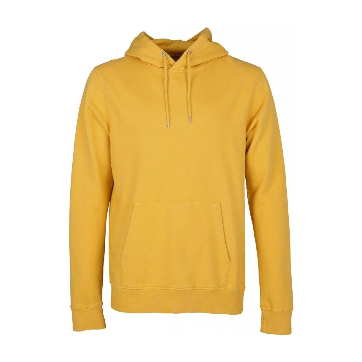 Textiel Heren Sweaters / Sweatshirts Colorful Standard Organic Hoodie Geel Geel