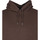 Textiel Heren Sweaters / Sweatshirts Colorful Standard Organic Hoodie Donkerbruin Bruin
