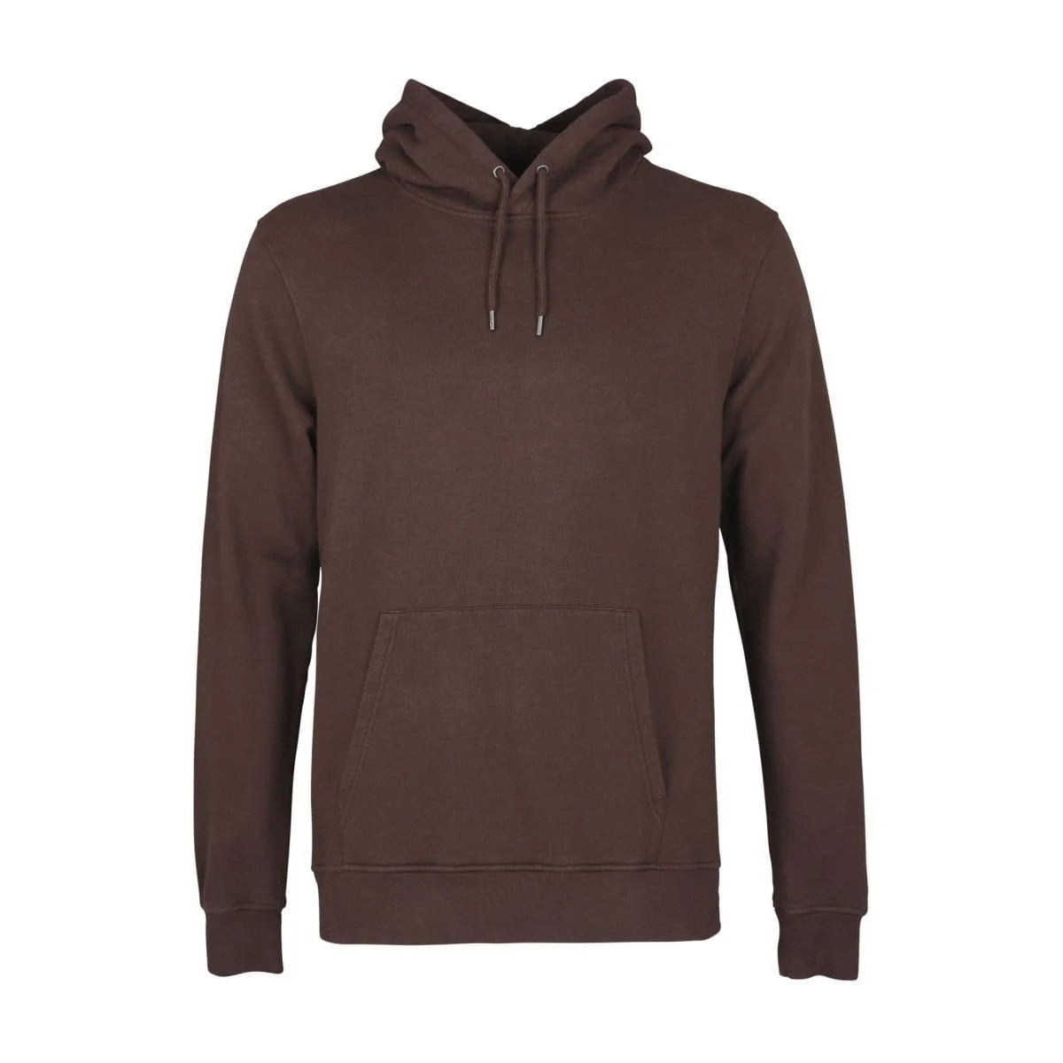 Textiel Heren Sweaters / Sweatshirts Colorful Standard Organic Hoodie Donkerbruin Bruin