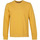 Textiel Heren Sweaters / Sweatshirts Colorful Standard Sweater Geel Geel