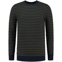 Textiel Heren Sweaters / Sweatshirts Dstrezzed Trui Strepen Donkergroen Groen