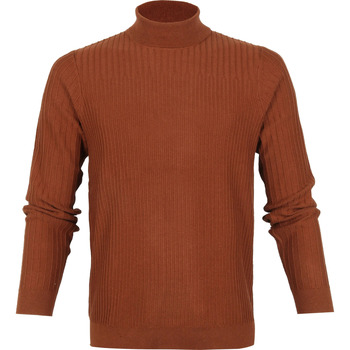 Textiel Heren Sweaters / Sweatshirts Blue Industry Coltrui Mix Wol KBIW21 Bruin Bruin