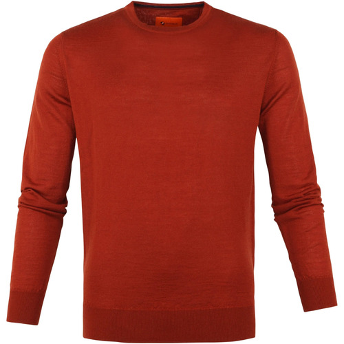 Textiel Heren Sweaters / Sweatshirts Suitable Pullover Merino O-neck Cognac Bruin