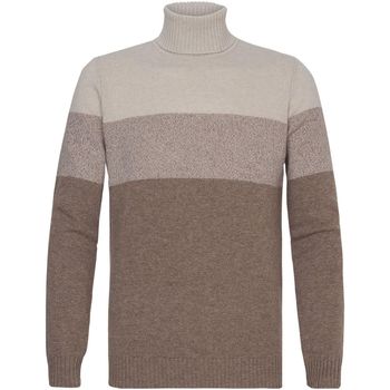 Textiel Heren Sweaters / Sweatshirts Profuomo Coltrui Merino Streep Beige Beige