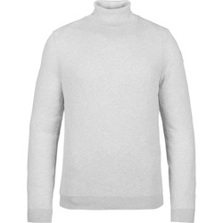 Textiel Heren Sweaters / Sweatshirts Vanguard Coltrui Rib Grijs Grijs