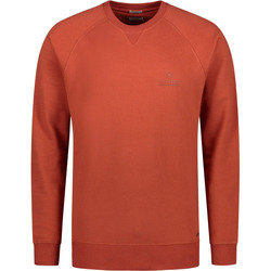 Textiel Heren Sweaters / Sweatshirts Dstrezzed Sweater Rood Rood