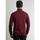 Textiel Heren Sweaters / Sweatshirts Vanguard Coltrui Knitted Bordeaux Bordeau