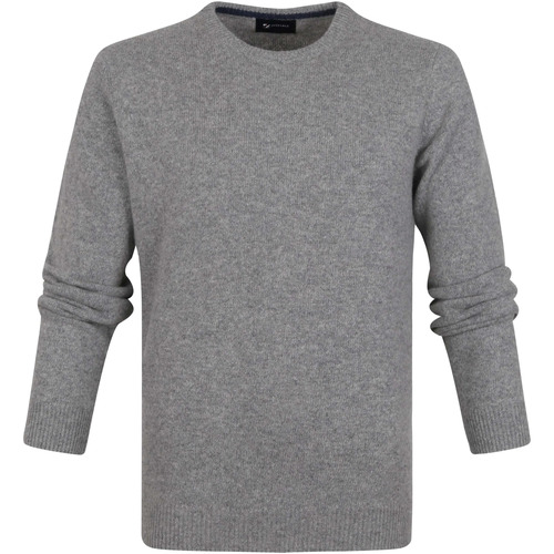 Textiel Heren Sweaters / Sweatshirts Suitable Lamswol Trui O-Hals Grijs Grijs