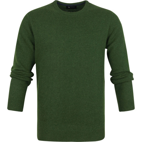 Textiel Heren Sweaters / Sweatshirts Suitable Lamswol Trui O-Hals Groen Groen