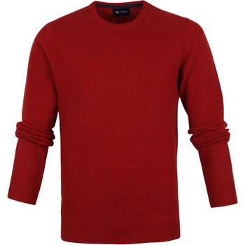 Textiel Heren Sweaters / Sweatshirts Suitable Lamswol Trui O-Hals Rood Rood