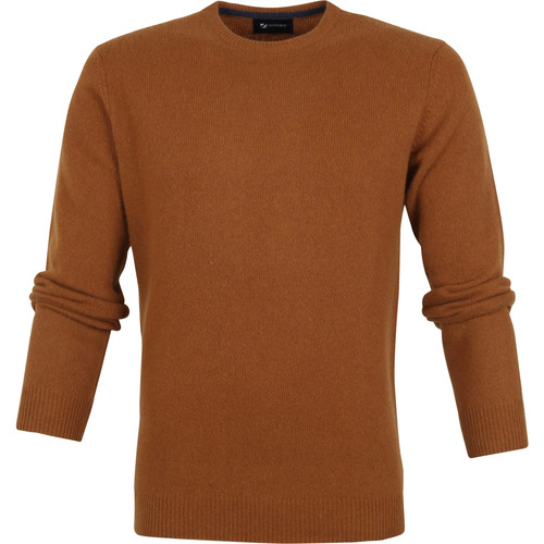 Textiel Heren Sweaters / Sweatshirts Suitable Lamswol Trui O-Hals Camel Bruin