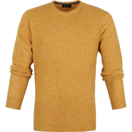 Textiel Heren Sweaters / Sweatshirts Suitable Lamswol Trui O-Hals Okergeel Geel