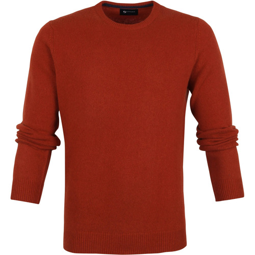 Textiel Heren Sweaters / Sweatshirts Suitable Lamswol Trui O-Hals Brique Oranje Oranje