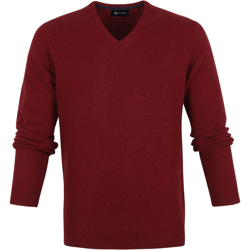 Textiel Heren Sweaters / Sweatshirts Suitable Lamswol Trui col V Bordeaux Bordeau