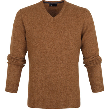 Textiel Heren Sweaters / Sweatshirts Suitable Lamswol Trui V-Hals Camel Bruin