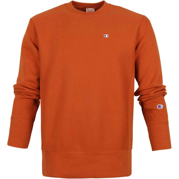 Textiel Heren Sweaters / Sweatshirts Champion Sweater Reverse Weave Bruin Bruin