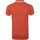 Textiel Heren T-shirts & Polo’s Dstrezzed Polo Popcorn Melange Rood Rood