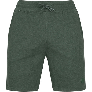 Textiel Heren Broeken / Pantalons Shiwi Sweat Shorts Sem Donkergroen Groen
