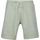Textiel Heren Broeken / Pantalons Levi's Sweat Shorts Lichtgroen Groen