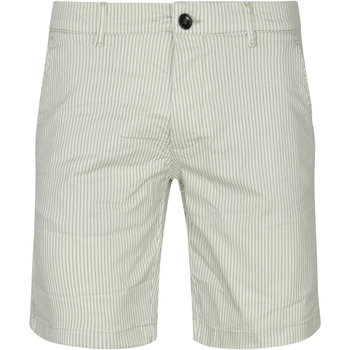 Textiel Heren Broeken / Pantalons Dstrezzed Charlie Chino Shorts Strepen Groen Groen