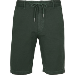 Textiel Heren Broeken / Pantalons Suitable Short Ferdi Donkergroen Groen