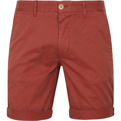Textiel Heren Broeken / Pantalons Suitable Short Barry GD Roest Rood