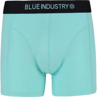 Ondergoed Heren BH's Blue Industry Boxershort Mint Groen