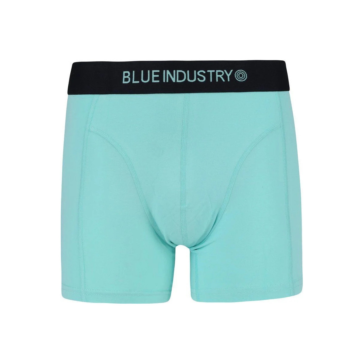 Ondergoed Heren BH's Blue Industry Boxershort Mint Groen