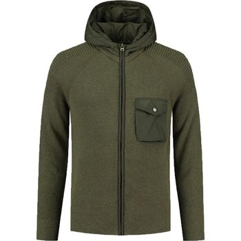 Textiel Heren Sweaters / Sweatshirts Dstrezzed Vest Hooded Donkergroen Groen