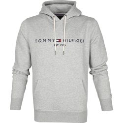 Textiel Heren Sweaters / Sweatshirts Tommy Hilfiger Hoodie Core Grijs Grijs