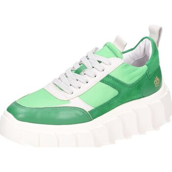 Schoenen Dames Sneakers Apple Of Eden  Groen