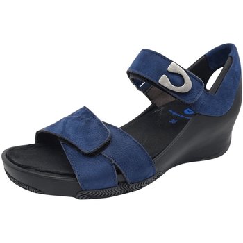 Schoenen Dames Sandalen / Open schoenen Wolky  Blauw
