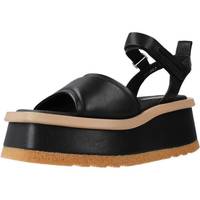 Schoenen Dames Sandalen / Open schoenen Elvio Zanon EQ5201X Zwart