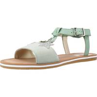 Schoenen Dames Sandalen / Open schoenen Clarks FINCH SUMMER Y Groen
