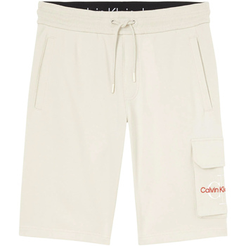 Korte Broek Calvin Klein Jeans J30J320073