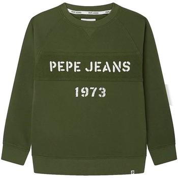 Textiel Jongens Sweaters / Sweatshirts Pepe jeans  Groen