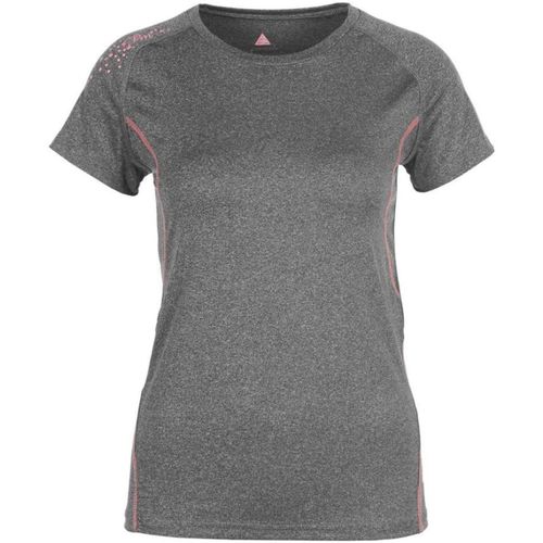 Textiel Dames T-shirts korte mouwen Peak Mountain T-shirt manches courtes femme ANSHO Grijs
