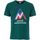 Textiel Heren T-shirts korte mouwen Peak Mountain T-shirt manches courtes homme CIMES Groen