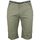Textiel Heren Korte broeken / Bermuda's Srk Bermuda homme CLASSI Groen