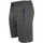 Textiel Heren Korte broeken / Bermuda's Degré Celsius Short homme CORELIE Grijs