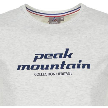Peak Mountain T-shirt manches courtes homme COSMO Grijs