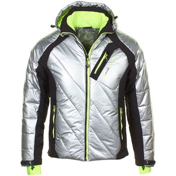 Textiel Heren Wind jackets Peak Mountain Blouson de ski homme CILVER Zilver