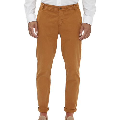 Textiel Heren Chino's Paname Brothers  Bruin