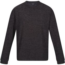 Textiel Heren Sweaters / Sweatshirts Regatta  Grijs