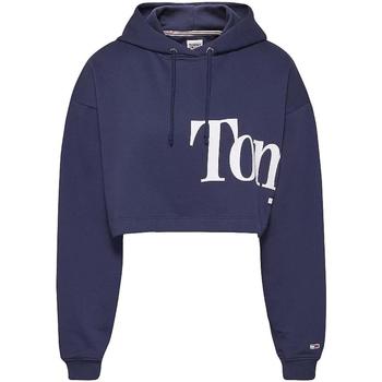 Textiel Dames Sweaters / Sweatshirts Tommy Hilfiger  Blauw