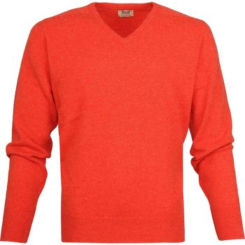 Textiel Heren Sweaters / Sweatshirts William Lockie Pullover Lamswol V Inferno Oranje