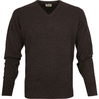 Textiel Heren Sweaters / Sweatshirts William Lockie William LockiePullover Lamswol V Cacoa Bruin