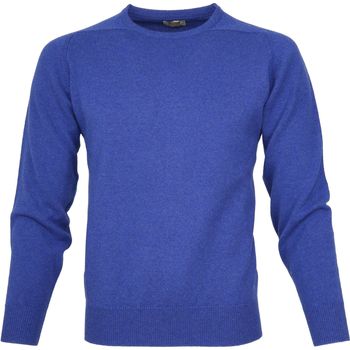 Textiel Heren Sweaters / Sweatshirts William Lockie O Lamswol Blauw Blauw