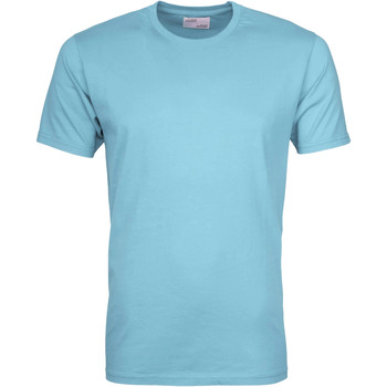 Textiel Heren T-shirts & Polo’s Colorful Standard T-shirt Polar Blue Blauw